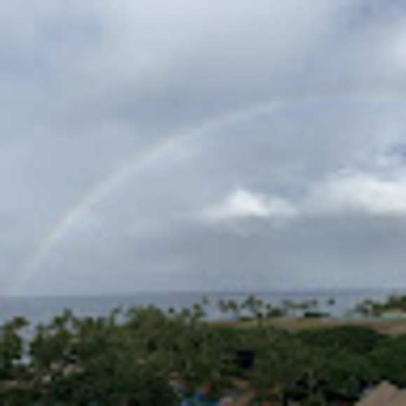 Meet your Posher, Anna - Picture 1 of 1